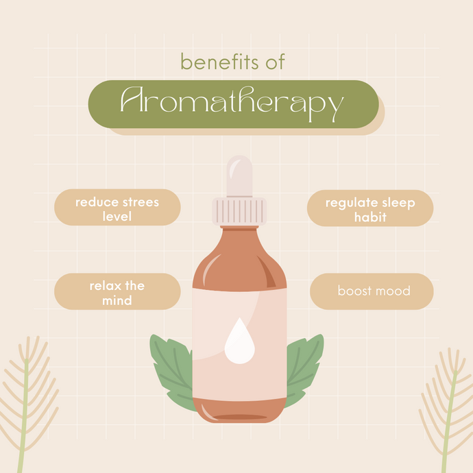 Exploring the Depths of Aromatherapy: How Our Senses Shape Wellness