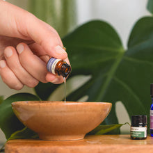 DIY Herbal Tea Bath Bomb Kit