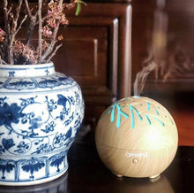 Willow USB Aroma Diffuser