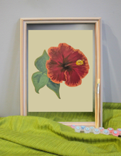 Hibiscus Paint-By-Numbers Peace Practice Kit