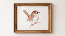 Beautiful Birds Watercolor Workbook by Willow Wolfe