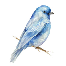 Beautiful Birds Watercolor Workbook by Willow Wolfe