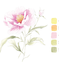 Blooms & Bouquets Watercolor Workbook