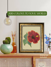 Hibiscus Paint-By-Numbers Peace Practice Kit
