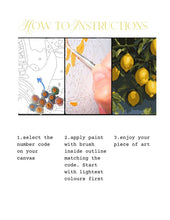 Lemon Aid Calming Paint Anywhere Kit