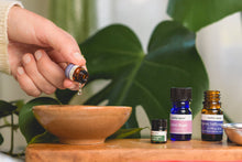 DIY Herbal Tea Bath Bomb Kit