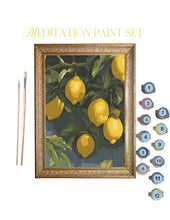 Lemon Aid Calming Paint Anywhere Kit