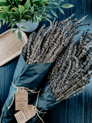 Lavender | Dried French Lavender Bunch
