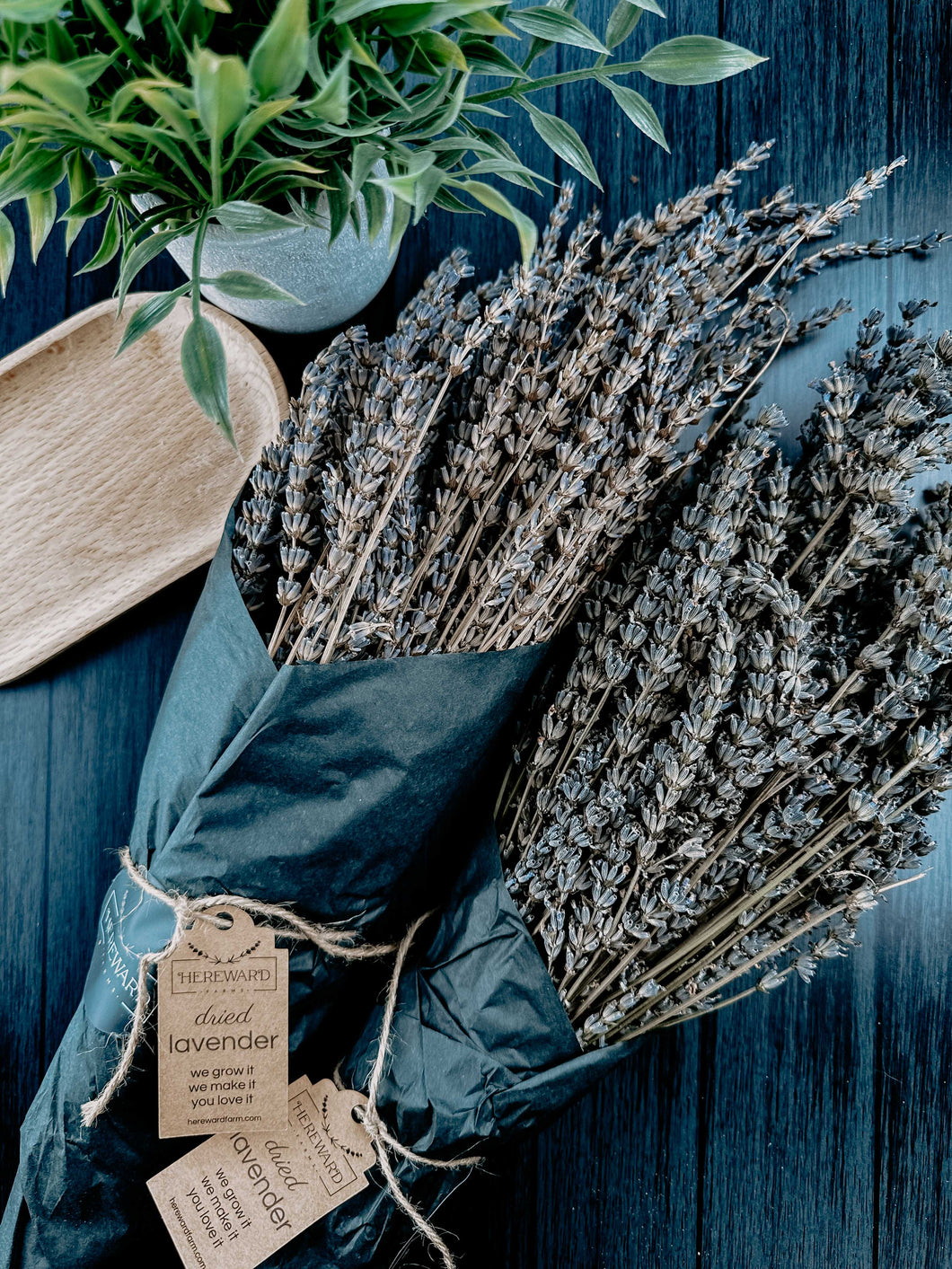 Lavender | Dried French Lavender Bunch