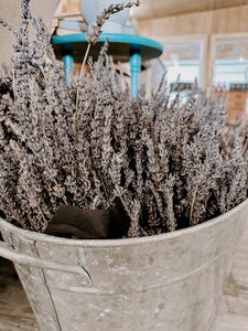 Lavender | Dried French Lavender Bunch
