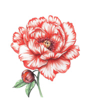 Bold Flowers Watercolor Workbook