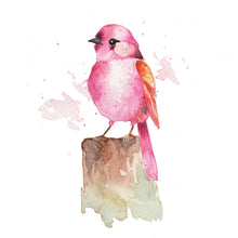 Beautiful Birds Watercolor Workbook by Willow Wolfe